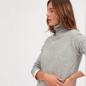 Everlane Cashmere Turtleneck Dress